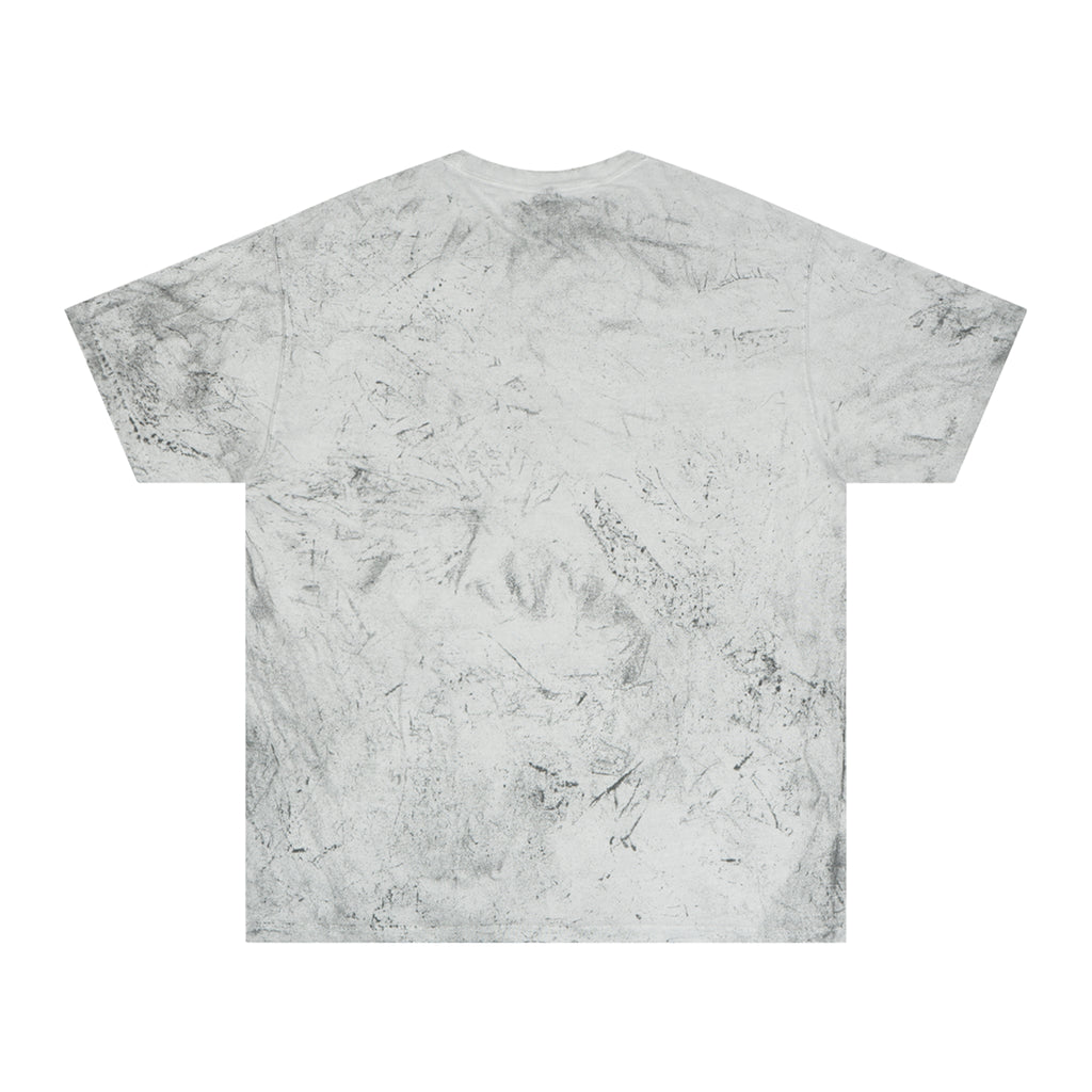 SHOMO.LOVE' Tie-Dyed Graphic Tee — Retro Pastel Logo T-Shirt